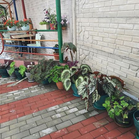 Nino Hotel Koboeleti Buitenkant foto